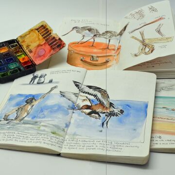 IAG Masterclass: Everyday Sketching with Deb Mostert