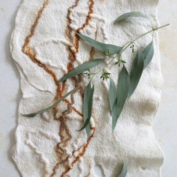 IAG Masterclass: Wool Felting with Norton Fredericks