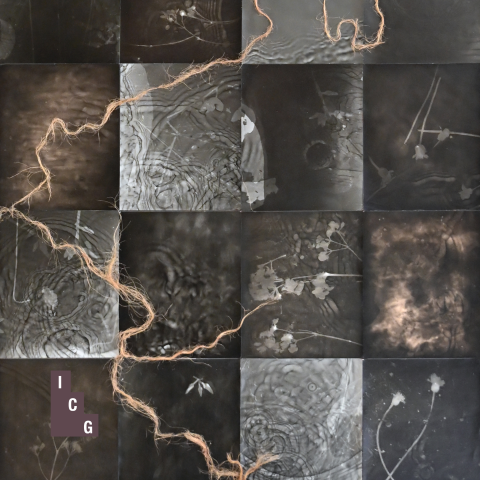 Naomi McKenzie | Elements of Surprise