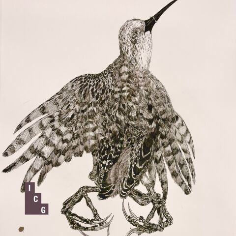 Sharon McKenzie: Exquisite Corpse