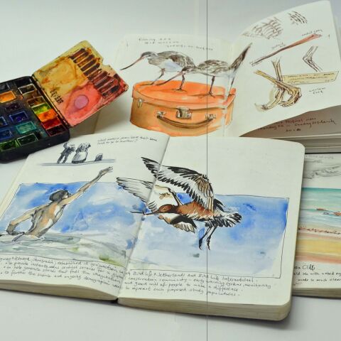 IAG Masterclass: Everyday Sketching with Deb Mostert