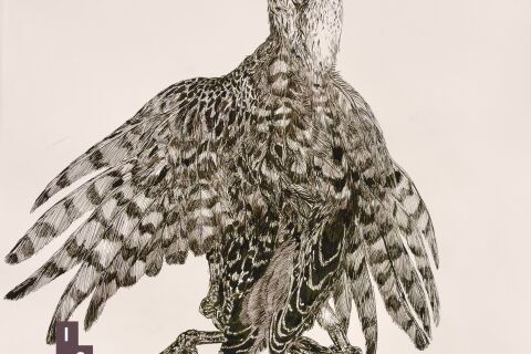 Sharon McKenzie: Exquisite Corpse