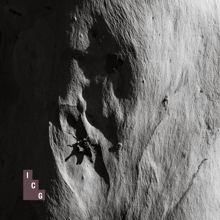 Kathryn Neilsen | Body: Landscape