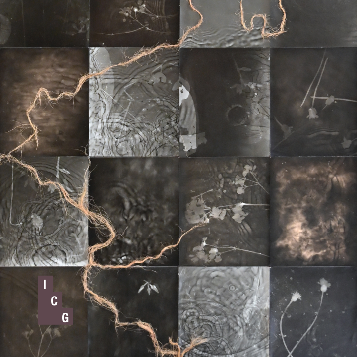 Naomi McKenzie | Elements of Surprise