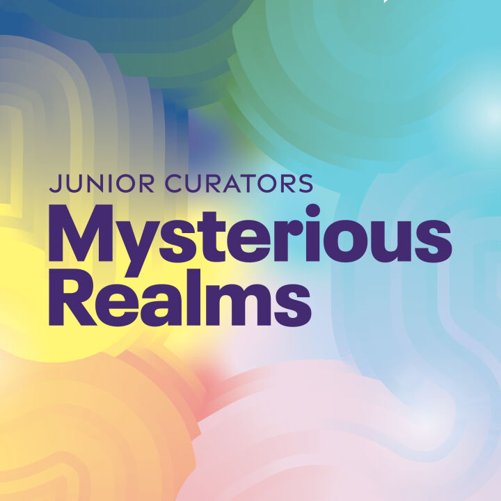 Junior Curators: Mysterious Realms