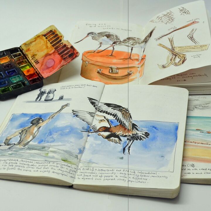 IAG Masterclass: Everyday Sketching with Deb Mostert 