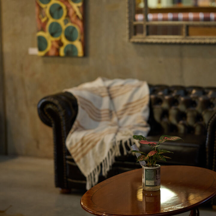 Artist Lounge with IPSARI | Saturday 20 September 2025 | 10:00 AM - 4:00 PM