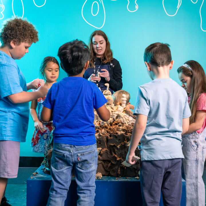 CLAY: for educators