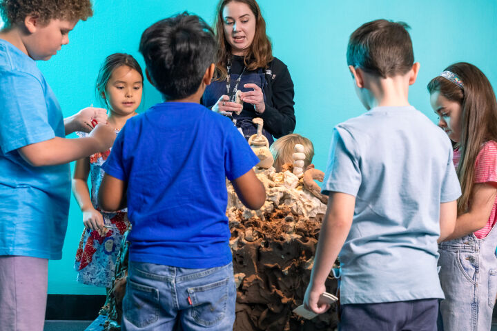 CLAY: for educators