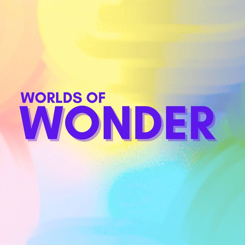 Worlds of Wonder