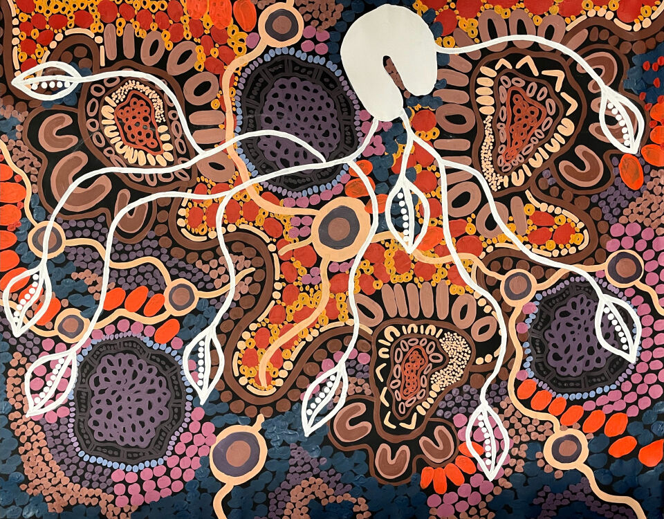 Kylie Hill: Jardibirri Nungarima Bukanyi - Ipswich Art Gallery