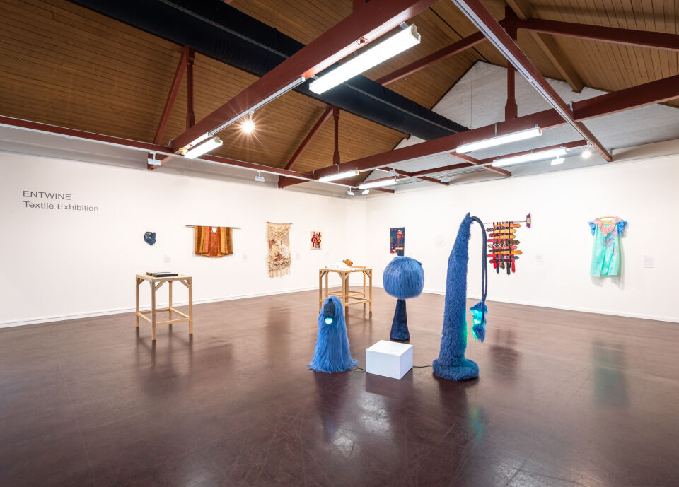 Ipswich Community Gallery